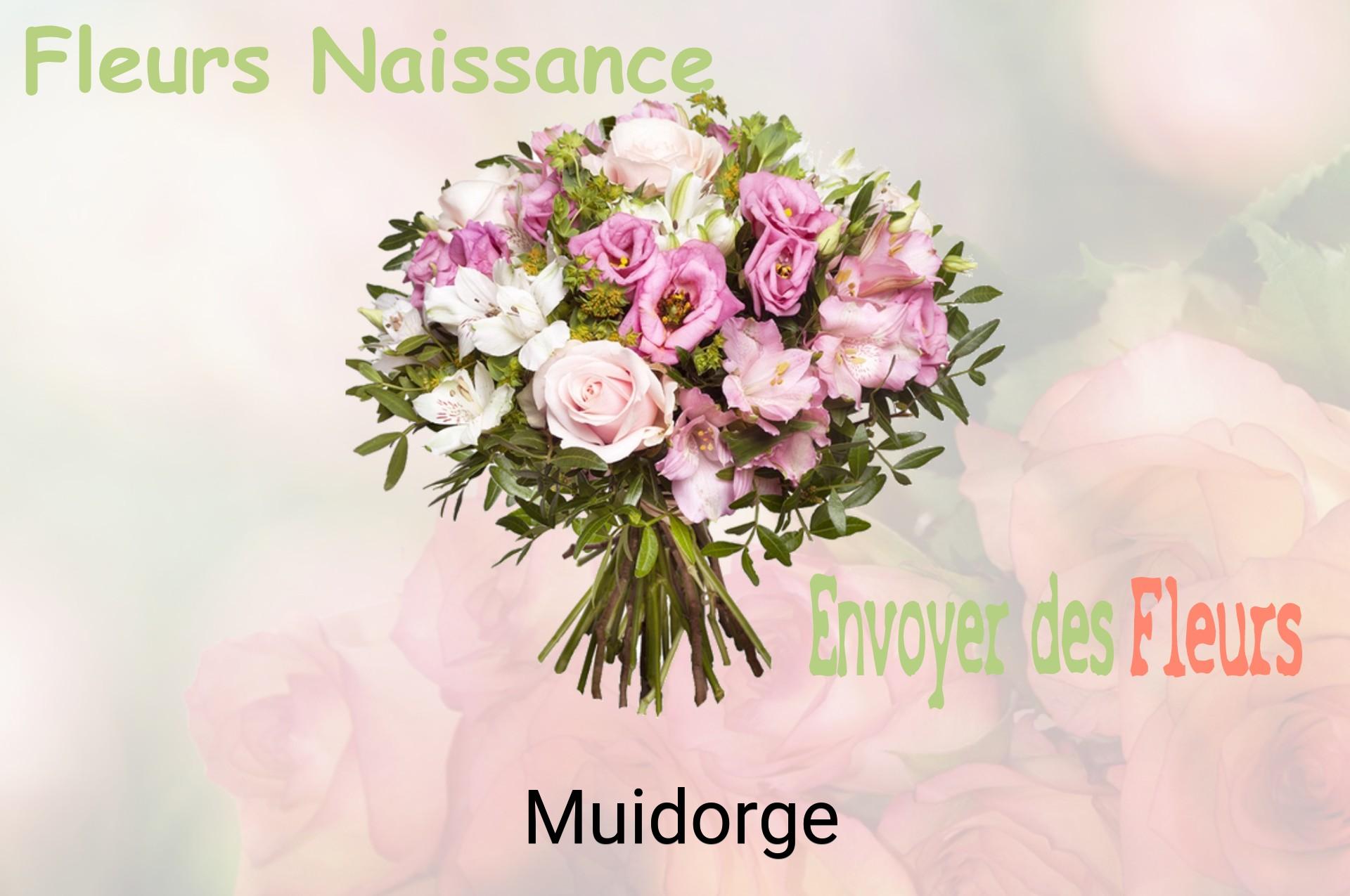 Bouquet de fleurs de naissance livré à Muidorge